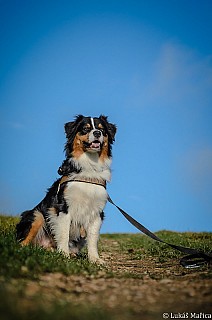 DSC_2200