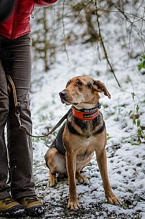 DSC_4531