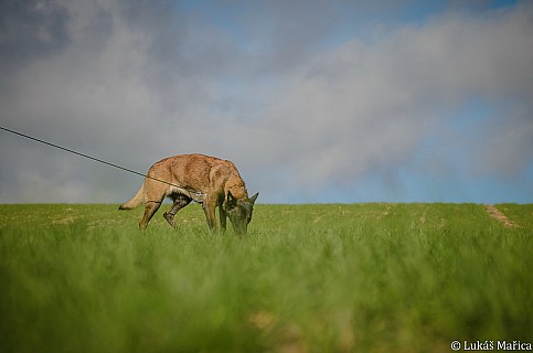 DSC_2365