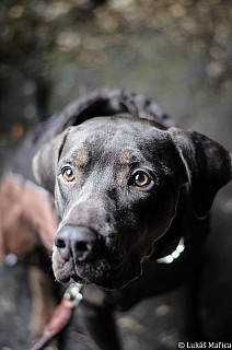DSC_4681