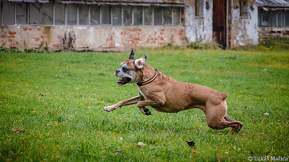 DSC_3119