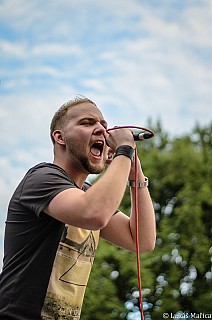 DSC_8595