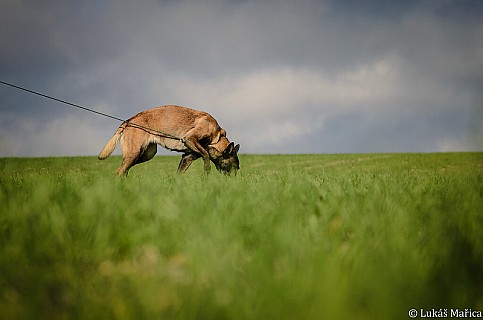 DSC_2363