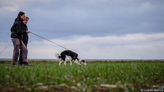 DSC_2512