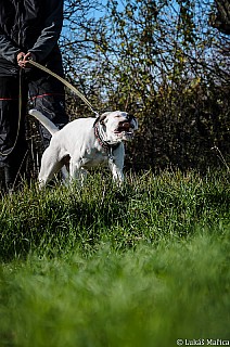 DSC_2284