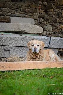 DSC_6763