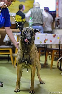 DSC_6472