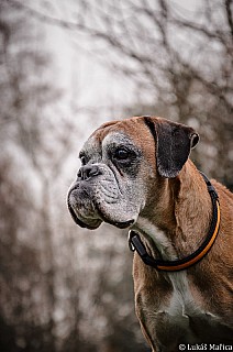 DSC_3082