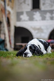 DSC_6736