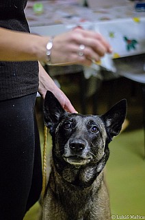 DSC_6463