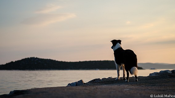 DSC_0878.jpg