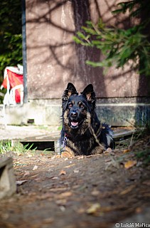 DSC_2550.jpg