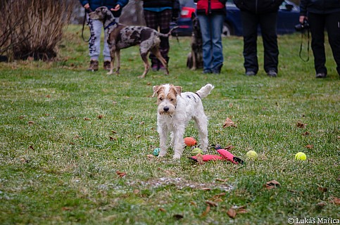 DSC_3717.jpg