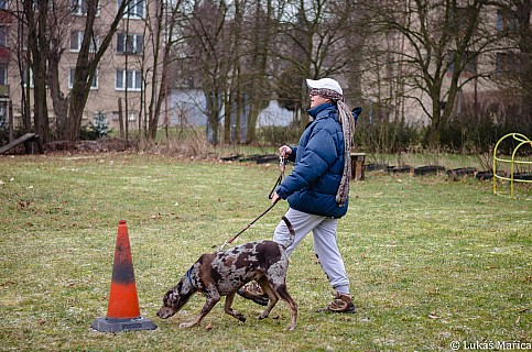 DSC_3790.jpg