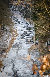 DSC_4809.jpg