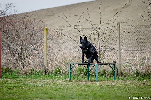 DSC_7255.jpg
