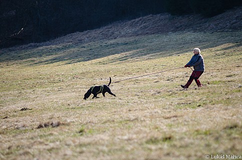 DSC_8156.jpg