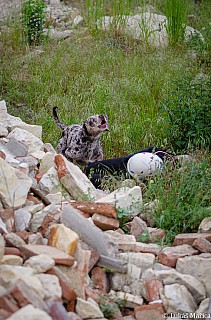 DSC_9469.jpg