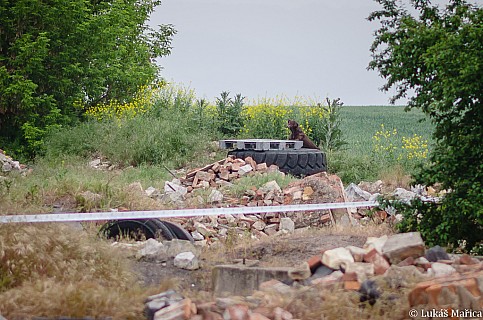 DSC_9567.jpg