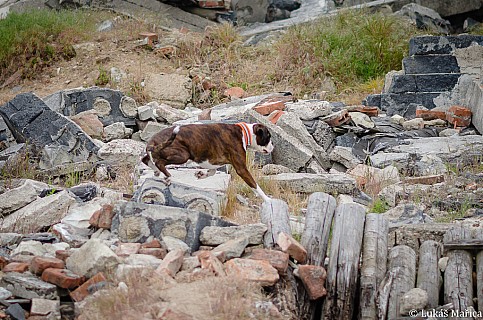 DSC_9581.jpg