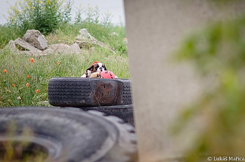 DSC_9594.jpg