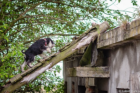 DSC_9611.jpg