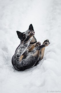 DSC_2142.jpg