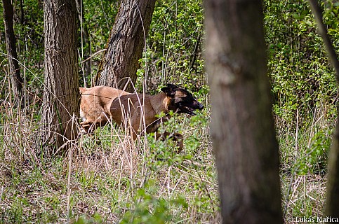 DSC_4245.jpg