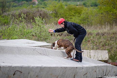 DSC_4397.jpg