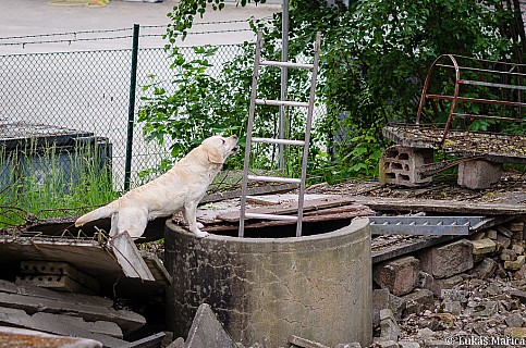 DSC_4532.jpg