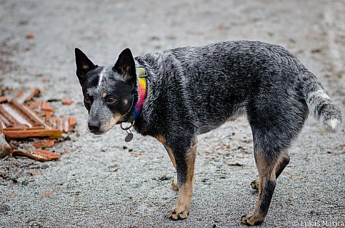 DSC_5248.jpg