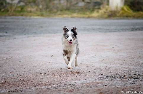 DSC_5270.jpg
