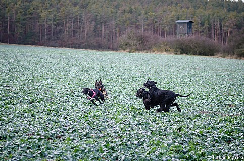 DSC_5307.jpg