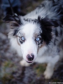DSC_5326.jpg