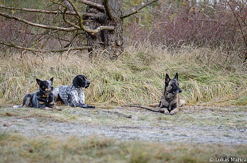 DSC_5334.jpg