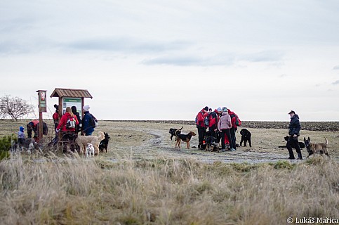 DSC_5350.jpg