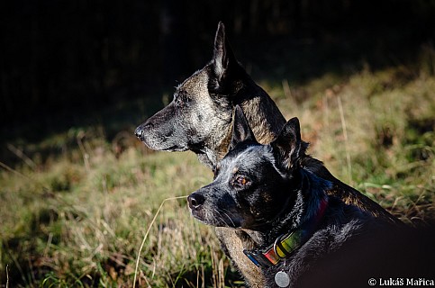 DSC_5437.jpg
