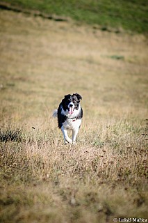 DSC_5468.jpg