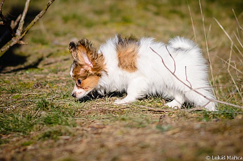 DSC_5531.jpg