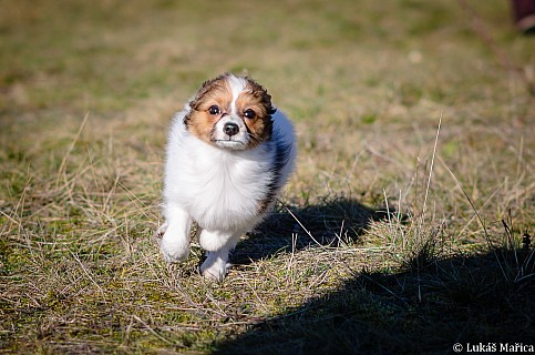DSC_5576.jpg