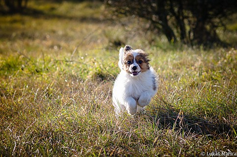 DSC_5655.jpg