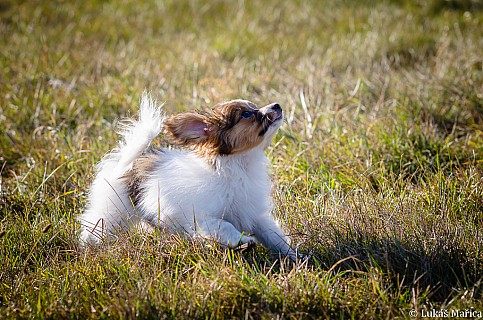 DSC_5663.jpg