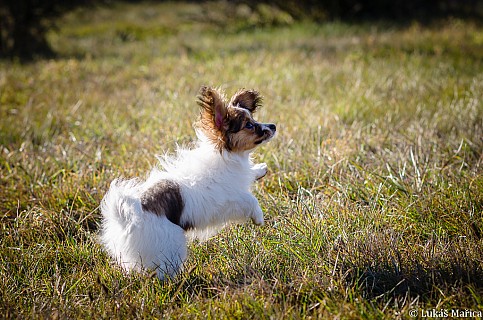 DSC_5667.jpg