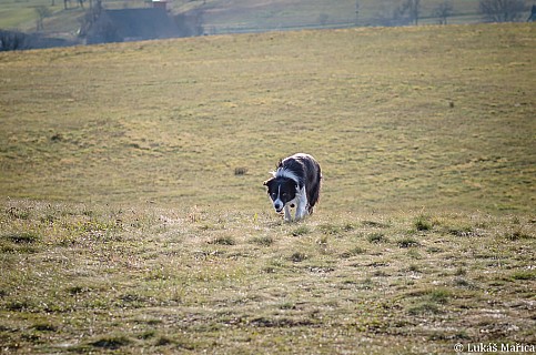 DSC_5679.jpg
