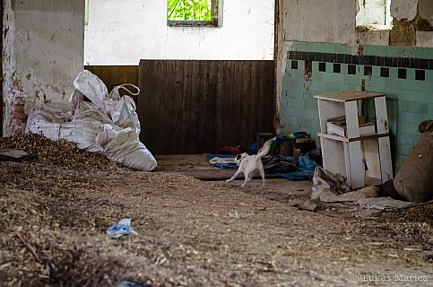 DSC_6682.jpg
