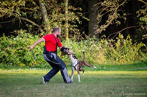 DSC_6987.jpg