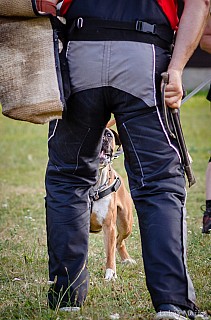 DSC_7011.jpg