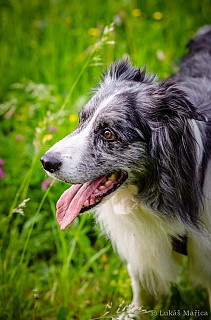 DSC_7718.jpg