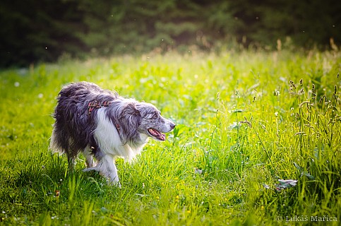 DSC_7771.jpg