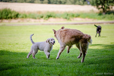 DSC_9473.jpg